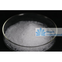 Super Absorbent Polymers (SAP)